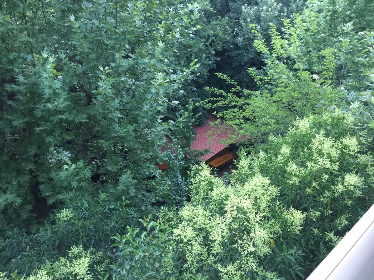 Yuvarlakcay Cinar Butik Hotel Koycegiz  Buitenkant foto