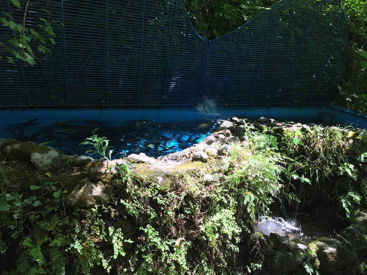 Yuvarlakcay Cinar Butik Hotel Koycegiz  Buitenkant foto