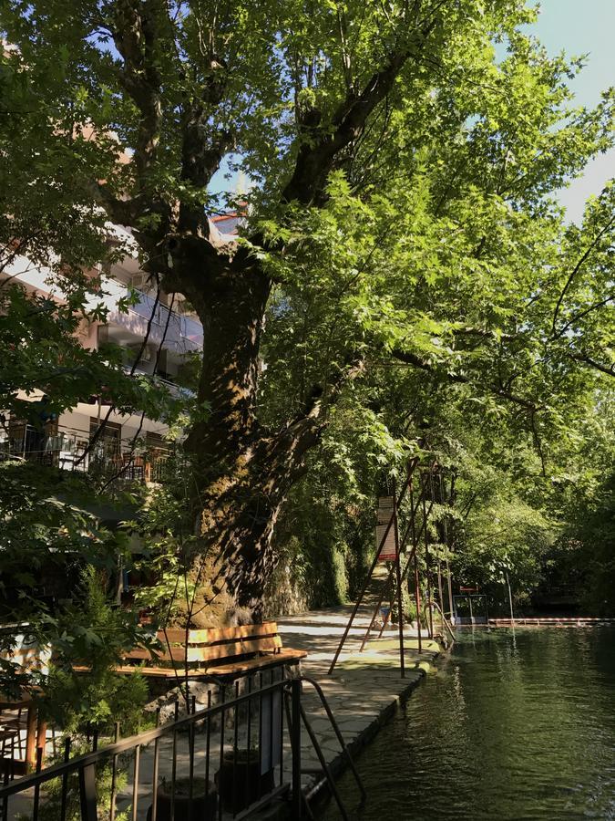 Yuvarlakcay Cinar Butik Hotel Koycegiz  Buitenkant foto