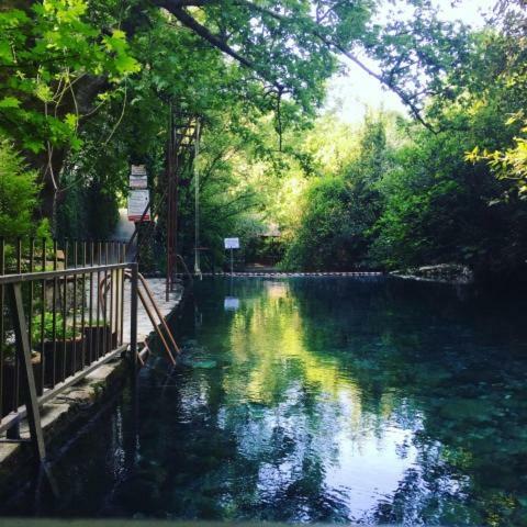Yuvarlakcay Cinar Butik Hotel Koycegiz  Buitenkant foto